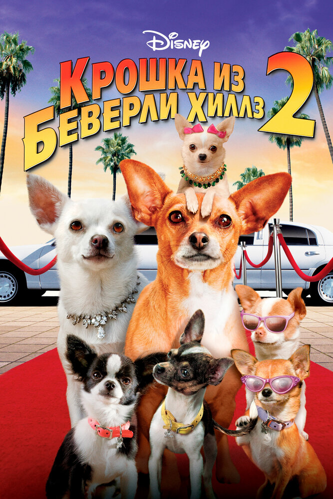 Крошка из Беверли-Хиллз 2 (2010) постер