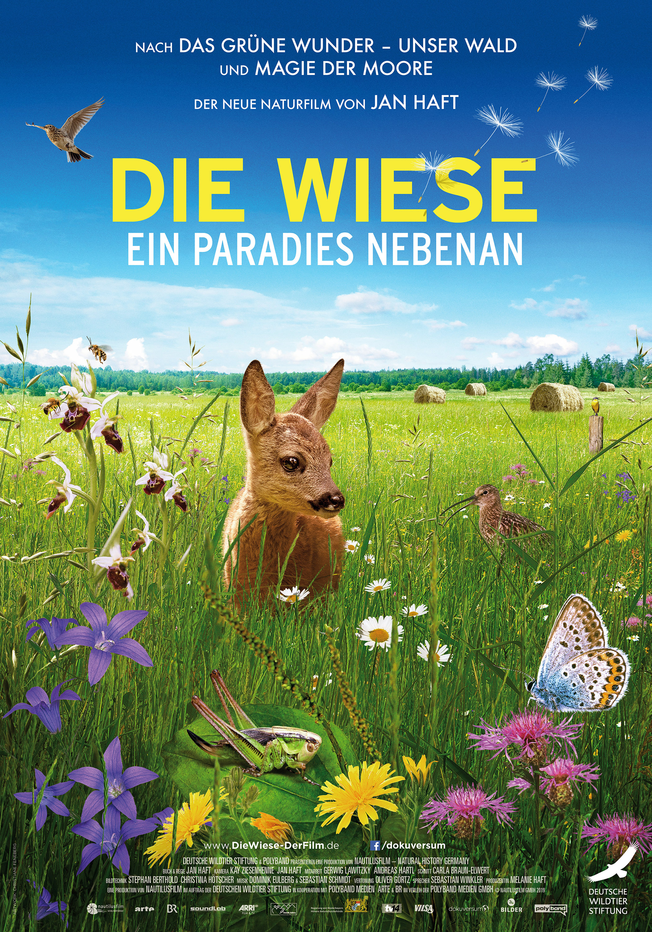 Die Wiese (2019) постер