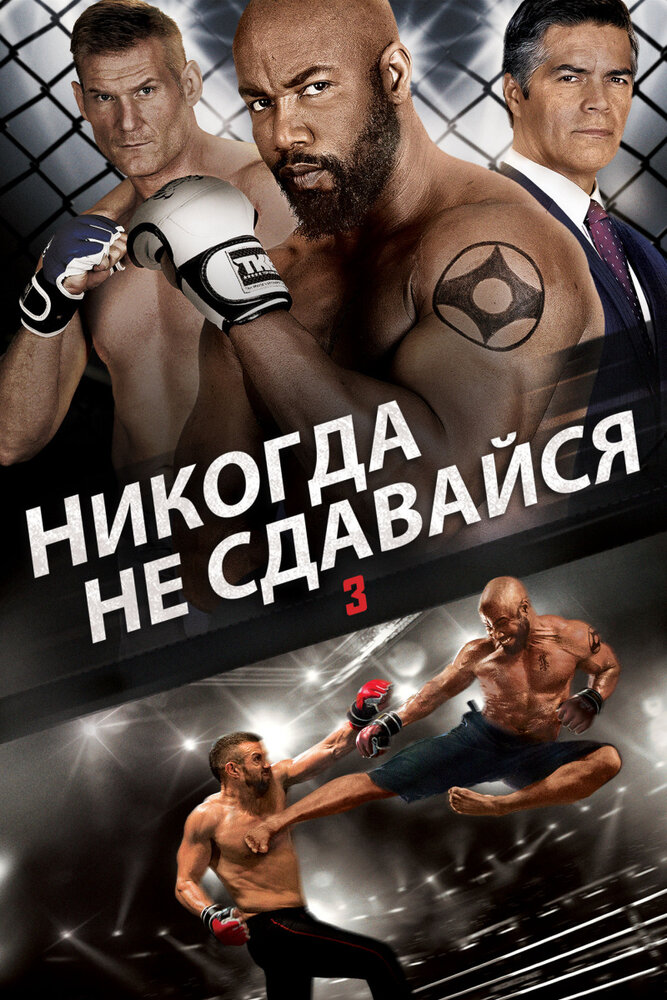 Никогда не сдавайся 3 (2016) постер