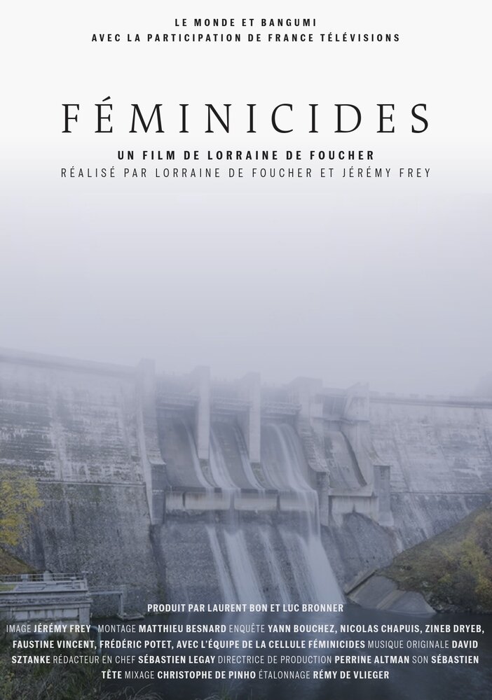 Féminicides (2020) постер