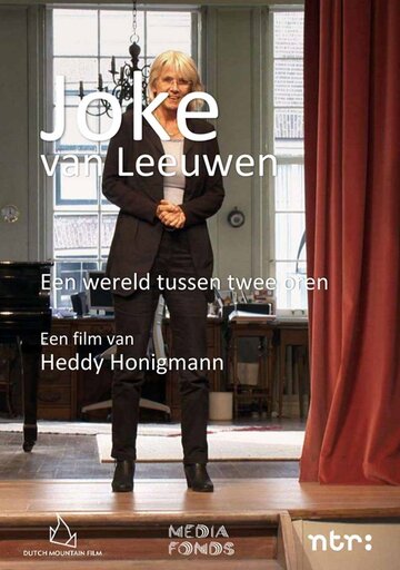 Joke van Leeuwen: Een wereld tussen twee oren (2017)